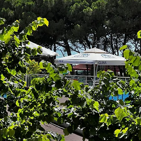 Aurum Golem (Tirana)